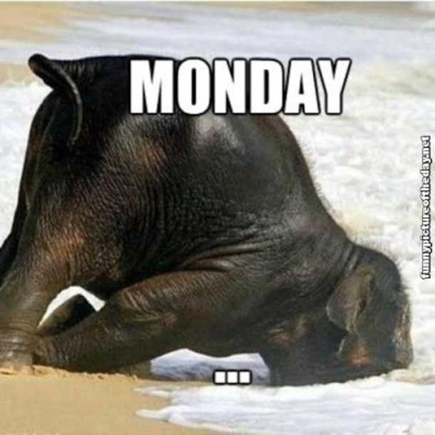10 Funny Monday Morning Faces - picture 4