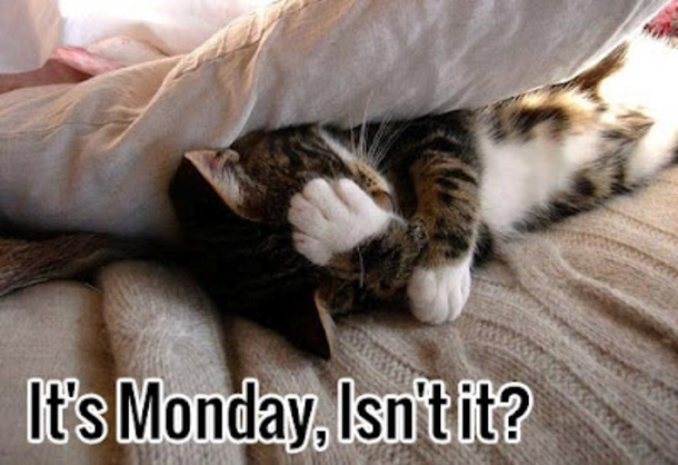 10 Funny Monday Morning Faces - picture 6
