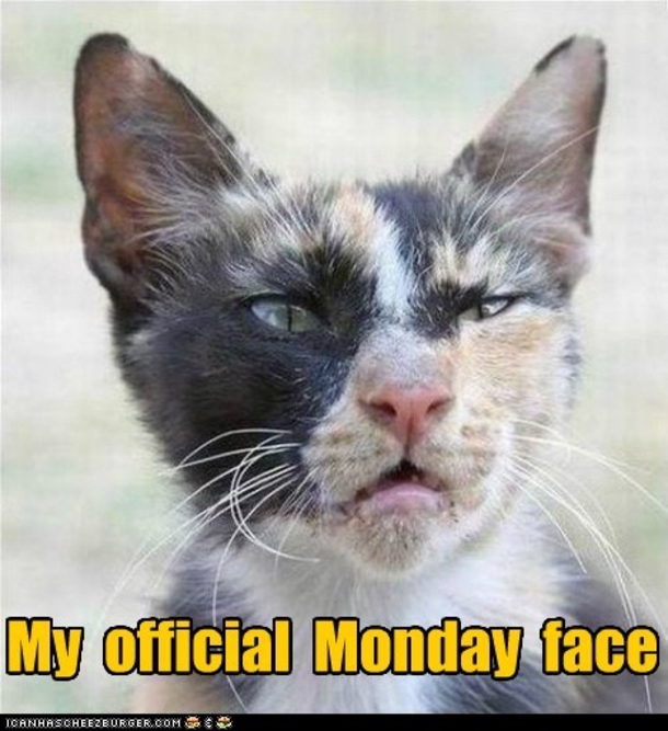 10 Funny Monday Morning Faces - picture 7