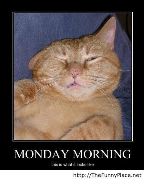 10 Funny Monday Morning Faces - picture 8