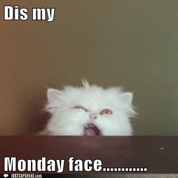 10 Funny Monday Morning Faces - picture 9
