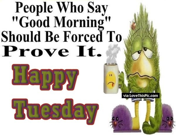 10 Funny Morning Tuesday Quotes - picture 9