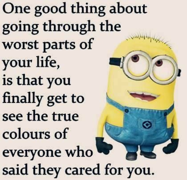 10 Funny New Minion Quotes And Jokes - picture 11