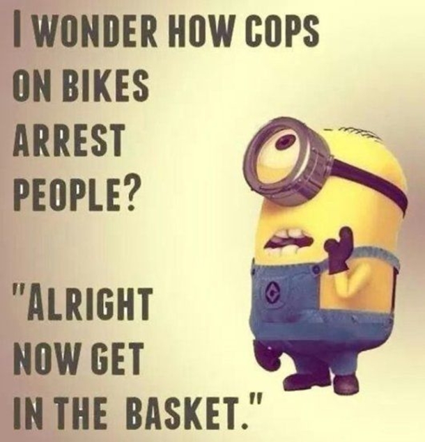 10 Funny New Minion Quotes And Jokes - picture 2