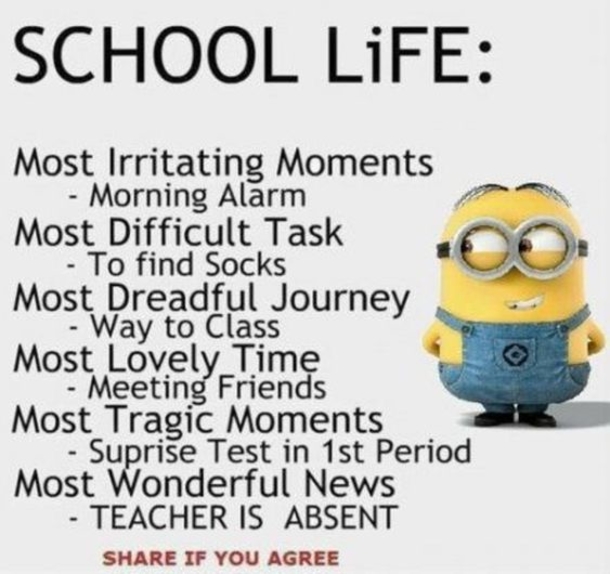 10 Funny New Minion Quotes And Jokes - picture 4