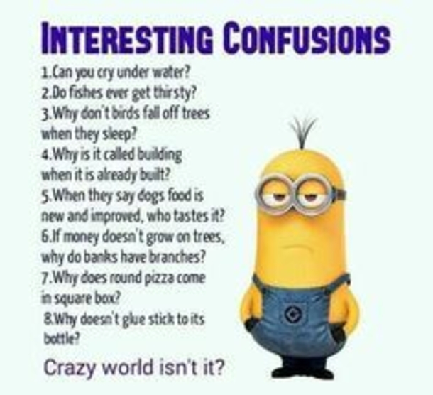 10 Funny New Minion Quotes And Jokes - picture 7