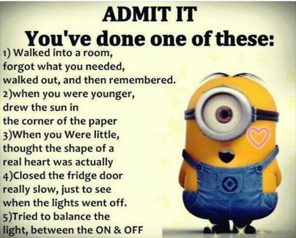 10 Funny New Minion Quotes And Jokes - picture 8