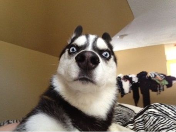 10 Funny Pictures According To Google - picture 4