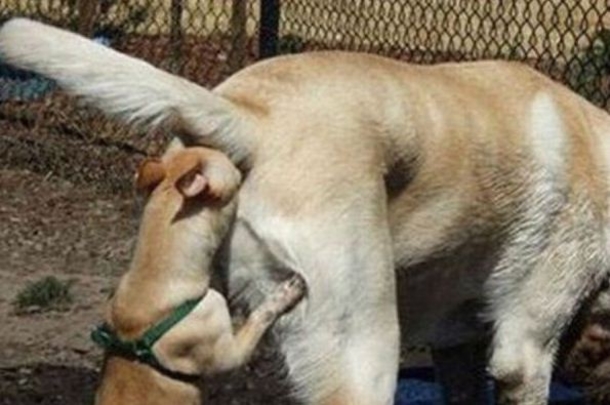10 Funny Pictures According To Google - picture 7