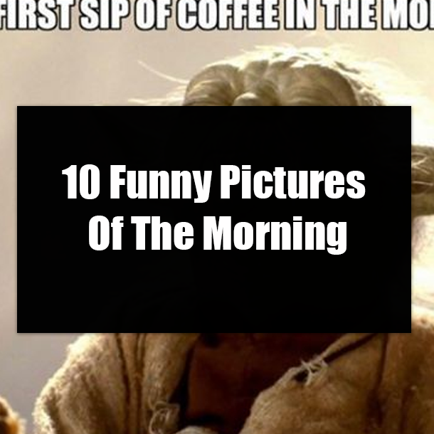 10 Funny Pictures Of The Morning