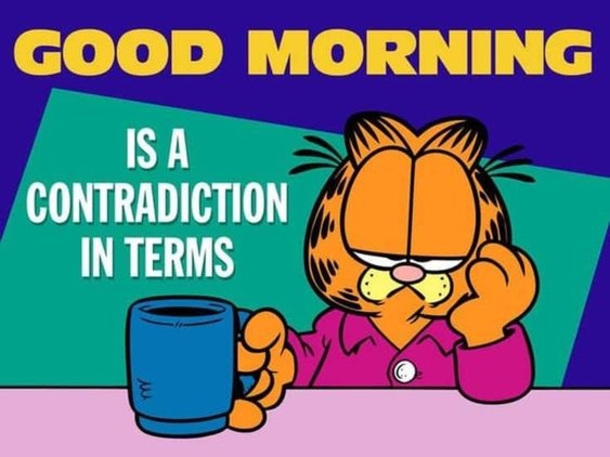 10 Funny Pictures Of The Morning - picture 8