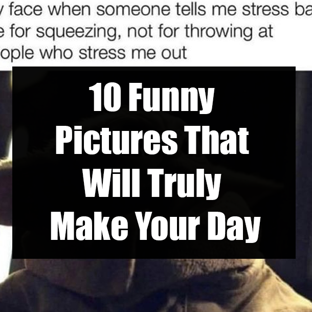 10 Funny Pictures That Will Truly Make Your Day