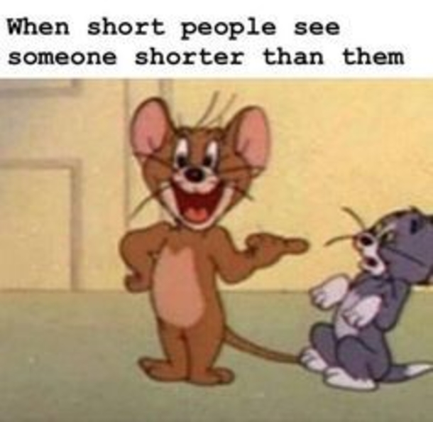 10 Funny Pictures That Will Truly Make Your Day - picture 11