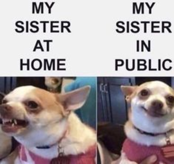 10 Funny Pictures That Will Truly Make Your Day - picture 9