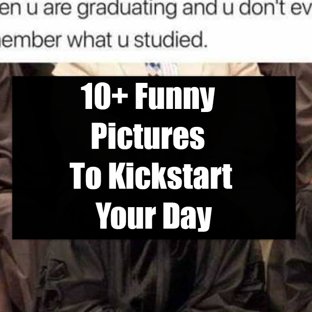 10+ Funny Pictures To Kickstart Your Day