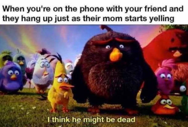10+ Funny Pictures To Kickstart Your Day - picture 3