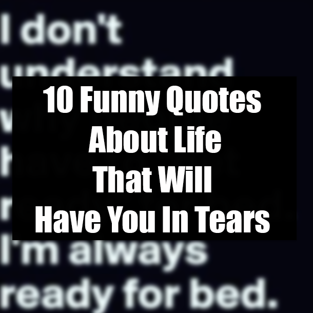 10 Funny Quotes About Life That Will Have You In Tears