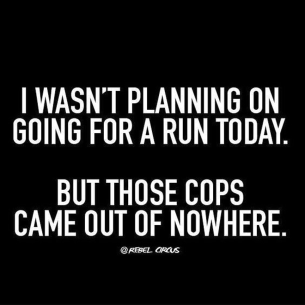 10 Funny Quotes About Life That Will Have You In Tears - picture 8