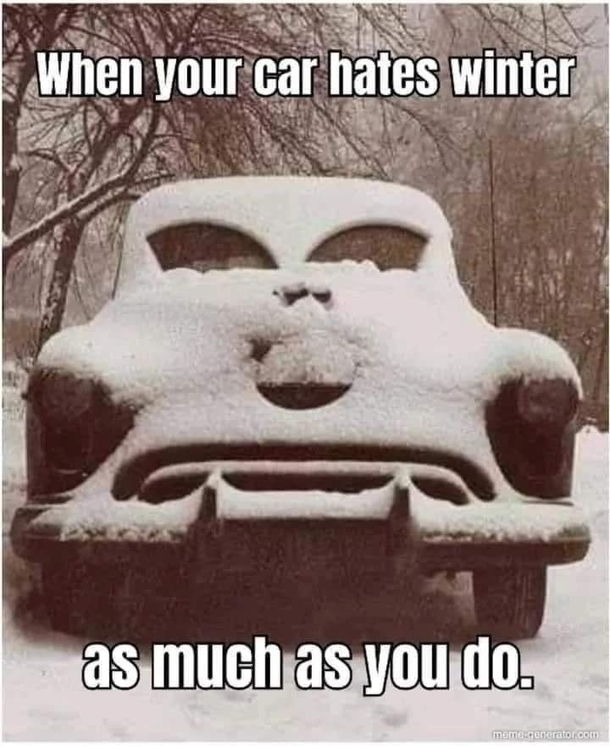 10 Funny Quotes Full Of Daily Jokes And Humor - picture 11