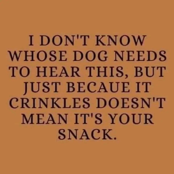 10 Funny Quotes Full Of Daily Jokes And Humor - picture 7