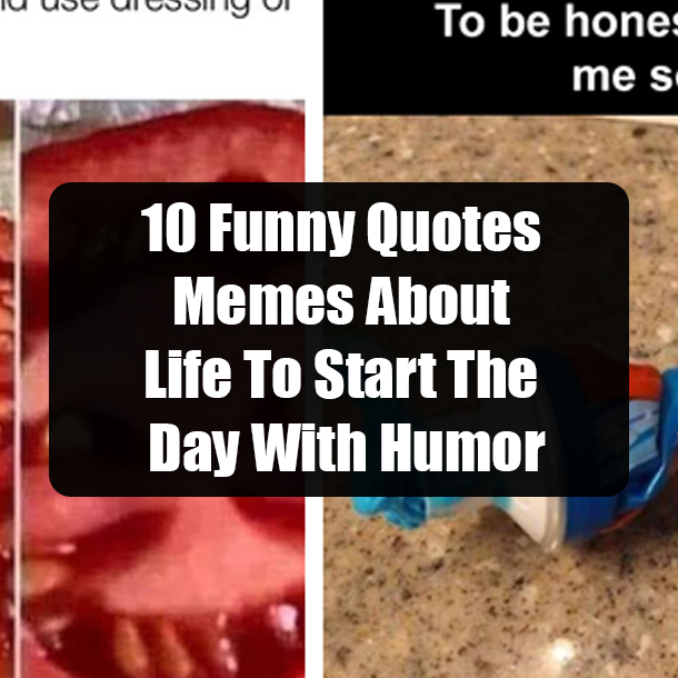10 Funny Quotes Memes About Life To Start The Day With Humor