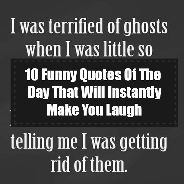 10 Funny Quotes Of The Day That Will Instantly Make You Laugh