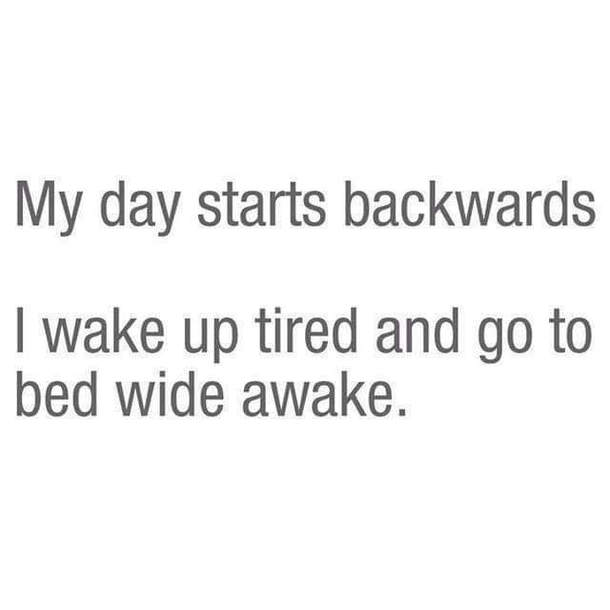 10 Funny Quotes Of The Day That Will Instantly Make You Laugh - picture 14