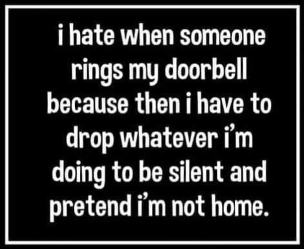 10 Funny Quotes Of The Day That Will Instantly Make You Laugh - picture 7
