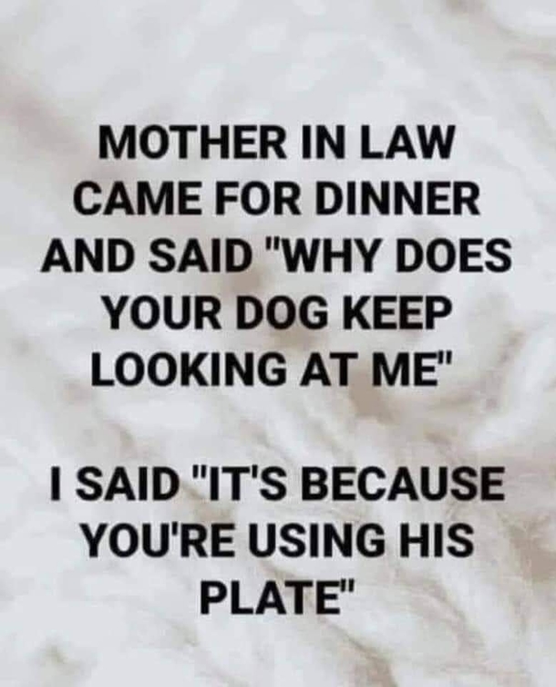 10 Funny Quotes That Only Grownups Can Understand - picture 10