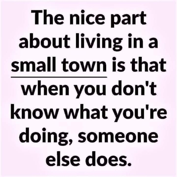 10 Funny Quotes That Only Grownups Can Understand - picture 3