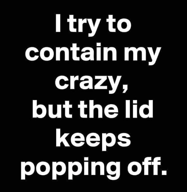 10 Funny Quotes That Only Grownups Can Understand - picture 8