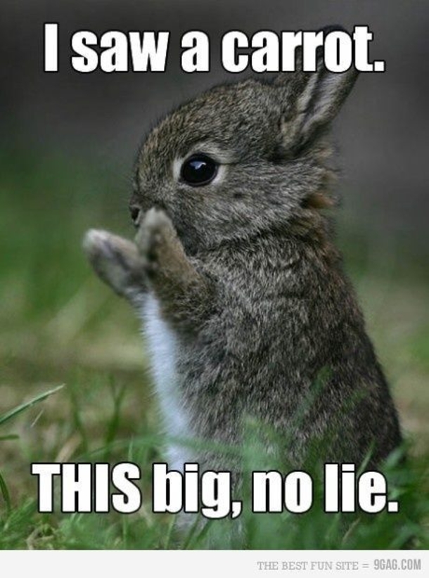 10 Funny Quotes That Will Bring A Smile To Your Day - picture 10