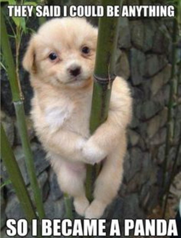 10 Funny Quotes That Will Bring A Smile To Your Day - picture 12