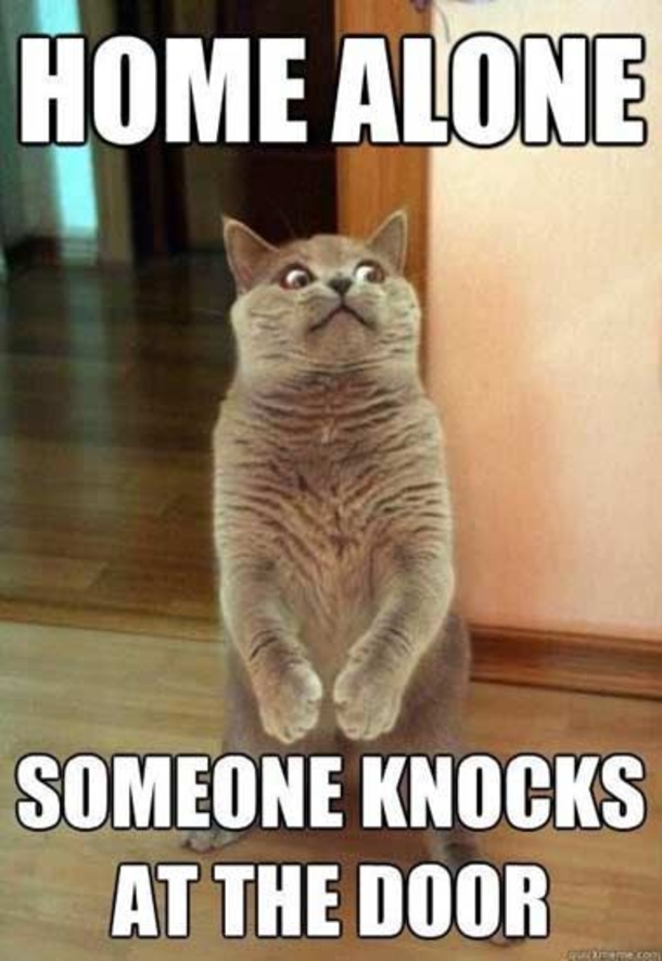 10 Funny Quotes That Will Bring A Smile To Your Day - picture 2
