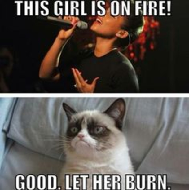 10 Funny Quotes That Will Bring A Smile To Your Day - picture 3