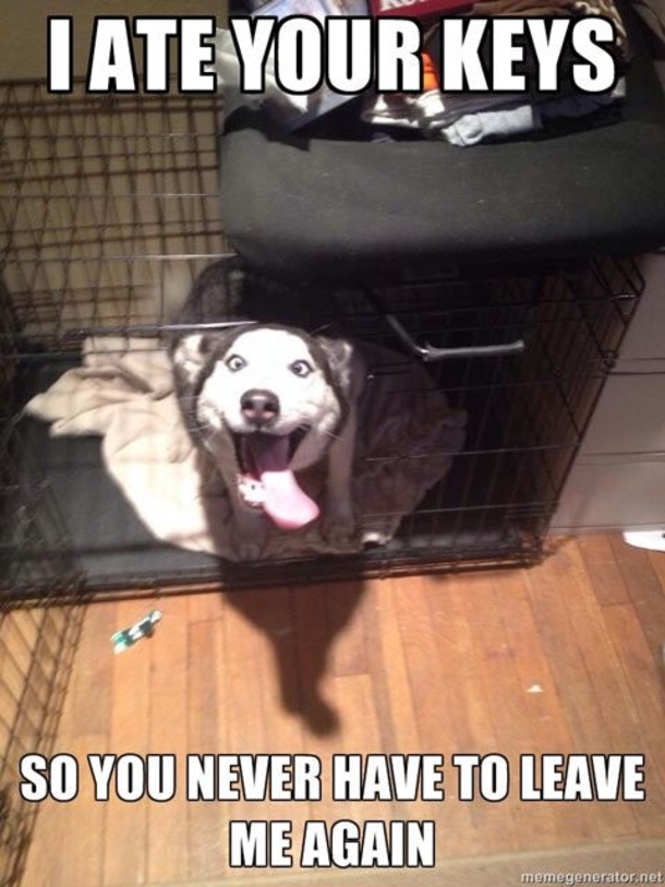 10 Funny Quotes That Will Bring A Smile To Your Day - picture 7