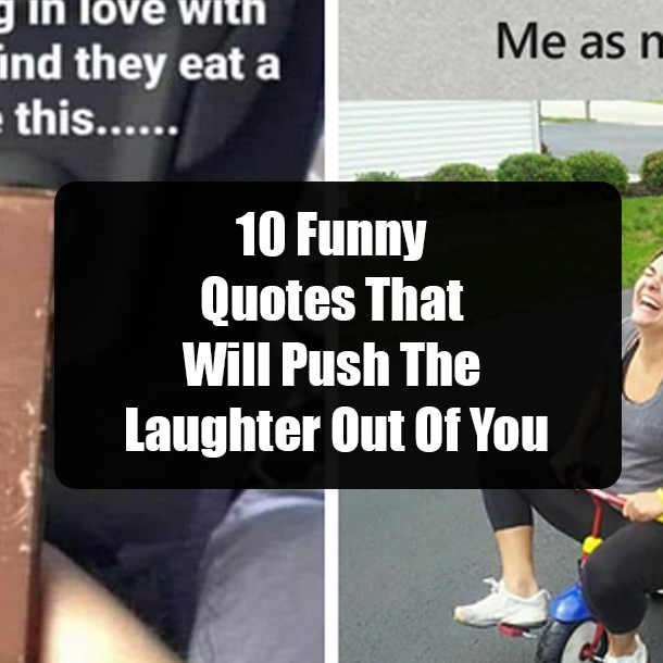 10 Funny Quotes That Will Push The Laughter Out Of You