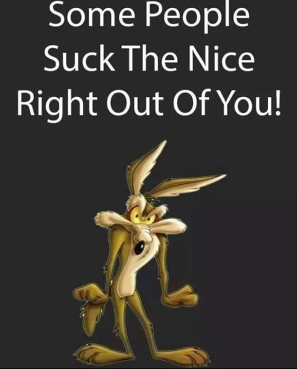 10 Funny Quotes That Will Push The Laughter Out Of You - picture 9