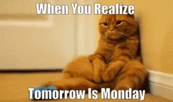 10 Funny Quotes To Remind You That Monday Is Coming - picture 9