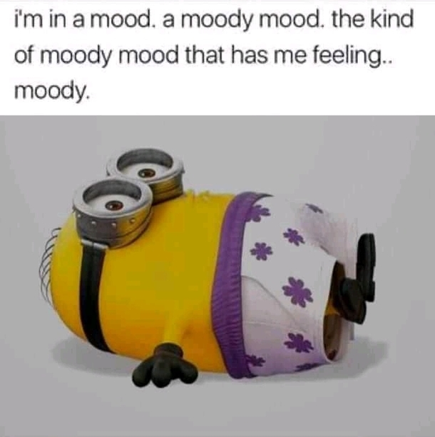 10 Funny Quotes & Memes That You Can Share With Friends! - picture 12