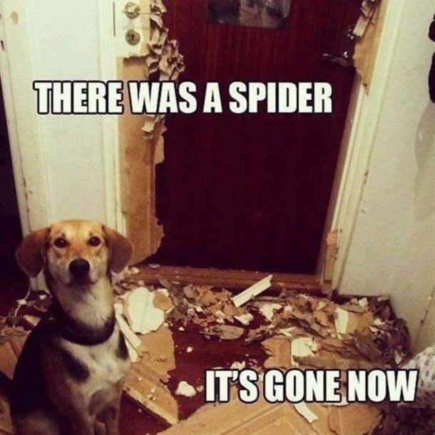 10 Funny Quotes & Memes That You Can Share With Friends! - picture 3