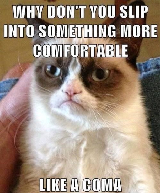 10 Funny Quotes & Memes That You Can Share With Friends! - picture 7