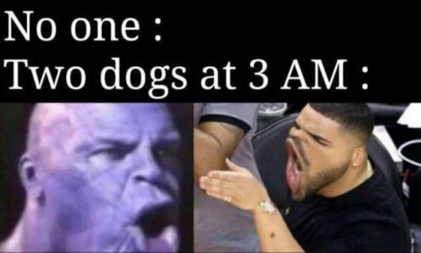 10 Funny Sunday Pictures & Memes - picture 8