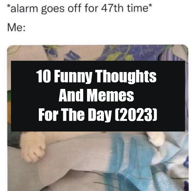 10 Funny Thoughts And Memes For The Day (2023)