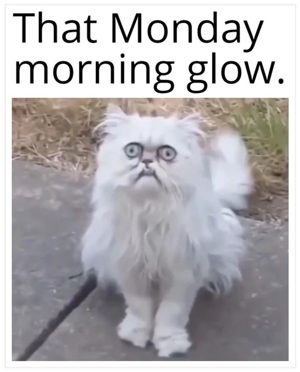 10 Funny Thoughts, Memes And Jokes To Give You A Dose Of Laughs - picture 4