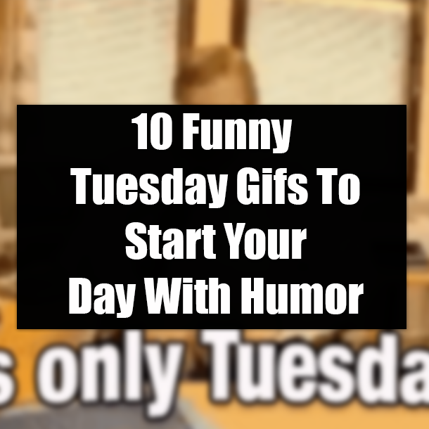 10 Funny Tuesday Gifs To Start Your Day With Humor