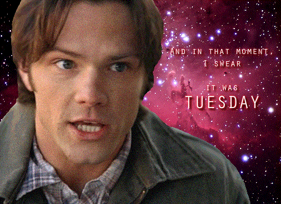 10 Funny Tuesday Gifs To Start Your Day With Humor - picture 10