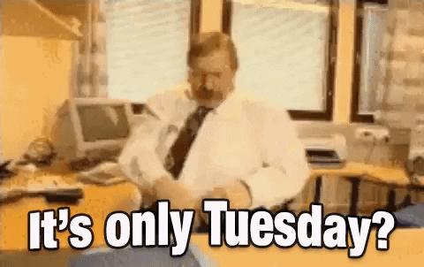10 Funny Tuesday Gifs To Start Your Day With Humor - picture 2