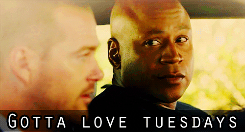 10 Funny Tuesday Gifs To Start Your Day With Humor - picture 3
