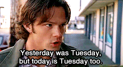 10 Funny Tuesday Gifs To Start Your Day With Humor - picture 7